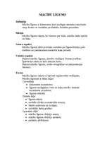 Referāts 'Lietišķie raksti', 19.