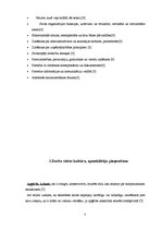 Konspekts 'Sekretāres darbs', 7.