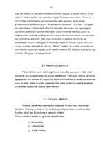 Prakses atskaite 'Mārketinga prakse SIA "Troll - Sigulda"', 9.