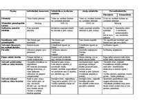 Konspekts 'Uzņēmējdarbības formu raksturojums', 1.