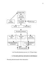 Referāts 'Personāla plānošana', 10.