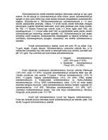 Referāts 'Hidroelektrostacijas', 3.