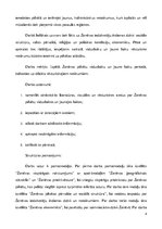 Referāts 'Ženēva viduslaikos un jaunajos laikos', 4.