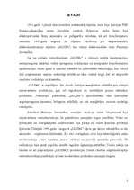 Referāts 'Uzņēmuma komerciālās darbības analīze', 2.