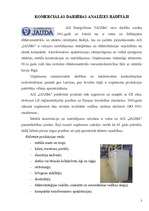 Referāts 'Uzņēmuma komerciālās darbības analīze', 3.