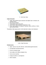 Konspekts 'Paletes', 3.