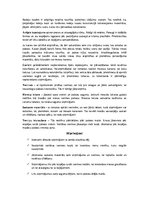 Konspekts 'Paletes', 6.