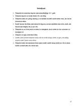 Referāts 'Ūdeņraža dzinēji', 17.