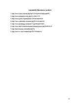 Referāts 'Ūdeņraža dzinēji', 18.