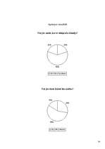 Referāts 'Ūdeņraža dzinēji', 24.