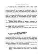 Eseja 'Patērētāju tiesību ievērošana. Reāla piemēra analīze', 2.