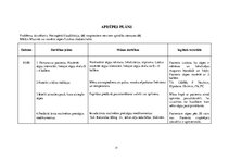 Prakses atskaite 'Aprūpes plāns ķirurģijā', 31.