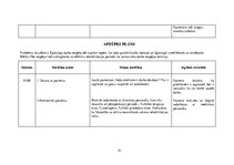 Prakses atskaite 'Aprūpes plāns ķirurģijā', 33.