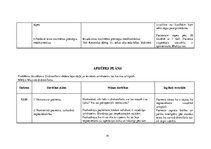 Prakses atskaite 'Aprūpes plāns ķirurģijā', 36.