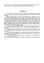 Biznesa plāns 'SIA “Verga“ biznesa plāns', 4.