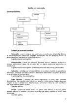 Biznesa plāns 'SIA “Verga“ biznesa plāns', 6.