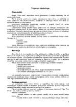 Biznesa plāns 'SIA “Verga“ biznesa plāns', 8.