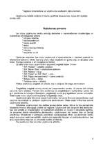 Biznesa plāns 'SIA “Verga“ biznesa plāns', 9.