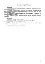 Biznesa plāns 'SIA “Verga“ biznesa plāns', 12.