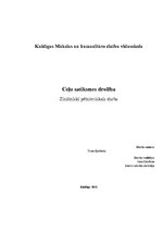 Referāts 'Ceļu satiksmes drošība', 1.