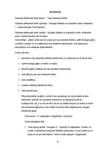 Referāts 'Ceļu satiksmes drošība', 19.