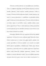 Referāts 'Cilvēka tiesības uz labvēlīgu dzīves vidi', 9.