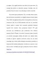 Referāts 'Cilvēka tiesības uz labvēlīgu dzīves vidi', 21.