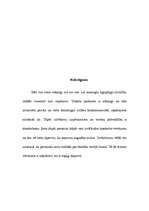 Referāts 'Cilvēka tiesības uz labvēlīgu dzīves vidi', 22.