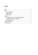 Referāts 'Žurnālista ētika Latvijā: ideāls un realitāte', 2.