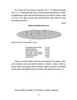 Referāts 'A/S "Hanzas maiznīca" bilances analīze', 10.