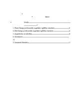 Referāts 'Pirmā un otrā līmeņa profesionālās izglītības atšķirības', 1.