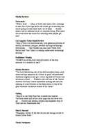 Konspekts 'Par Gerija Kaindera romānu "Zelta Kuģis"', 2.