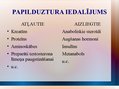 Prezentācija 'Papilduzturs un tā nozīme spēka treniņos', 4.
