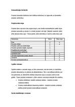 Eseja 'Projekta prezentācija', 2.