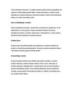 Eseja 'Projekta prezentācija', 3.