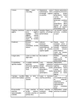 Prakses atskaite 'Sociālā gadījuma risināšana', 22.