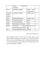 Prakses atskaite 'Sociālā gadījuma risināšana', 26.