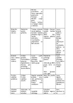 Prakses atskaite 'Sociālā gadījuma risināšana', 28.