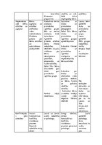 Prakses atskaite 'Sociālā gadījuma risināšana', 29.