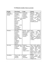 Prakses atskaite 'Sociālā gadījuma risināšana', 39.