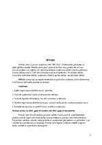 Prakses atskaite 'Prakses atskaite SIA “MC PLUS”', 3.