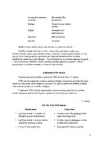 Prakses atskaite 'Prakses atskaite SIA “MC PLUS”', 6.