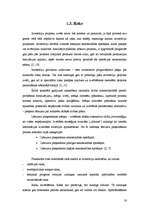 Diplomdarbs 'LPPKS "Jaunais piens" investīciju novērtējums A/S "Trikātas siers"', 16.