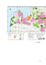 Referāts 'Elektromobiļu tīkla “e – mobilis” izveide CO2 emisiju apjomu samazināšanai no au', 25.