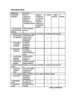 Konspekts 'Mājaslapu dizaina analīze', 2.