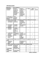 Konspekts 'Mājaslapu dizaina analīze', 4.