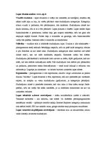 Konspekts 'Mājaslapu dizaina analīze', 5.