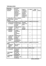 Konspekts 'Mājaslapu dizaina analīze', 6.