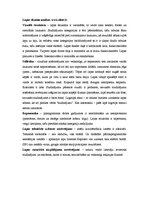 Konspekts 'Mājaslapu dizaina analīze', 7.