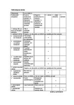 Konspekts 'Mājaslapu dizaina analīze', 10.